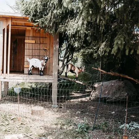 Speckleitengut דירה *